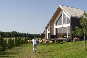 vivienda-prefabricada-entorno-rural
