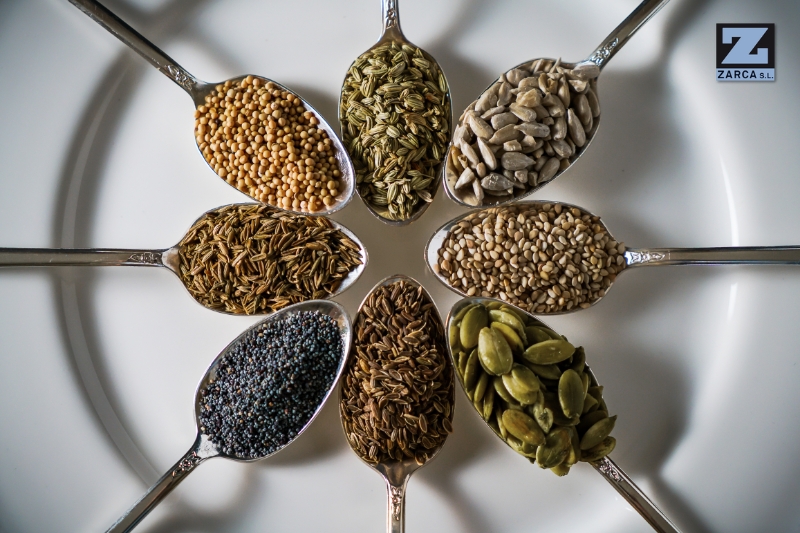 conservación de semillas en cámaras frigoríficas