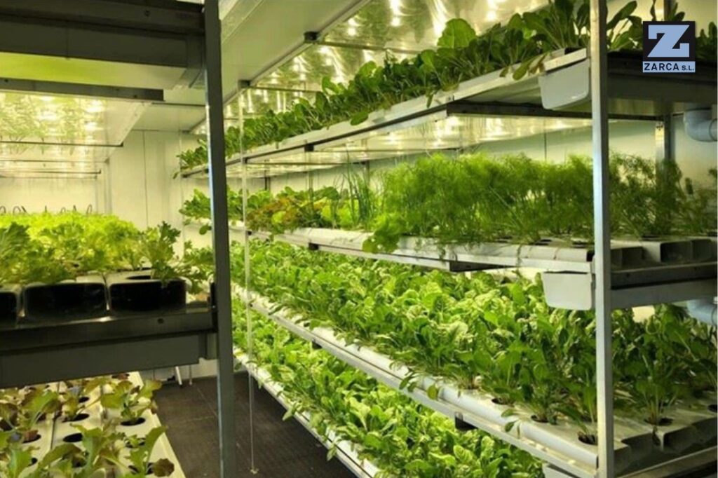 agricultura en contenedores